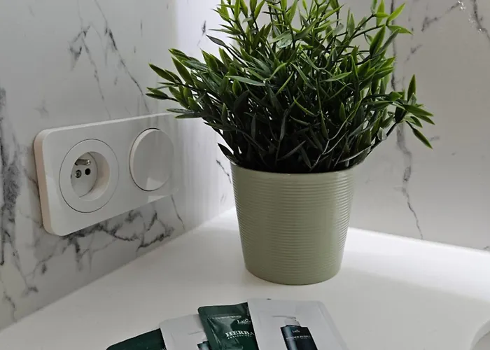 Klimatyzowana, Stylowa Kawalerka, Centrum, Apartment Poznan