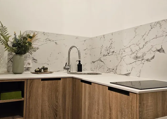 Apartment Klimatyzowana, Stylowa Kawalerka, Centrum, Poznan